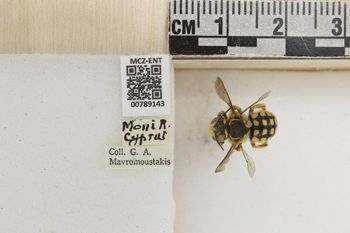 Media type: image;   Entomology 789143 Aspect: Labels
